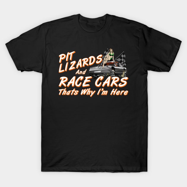 Funny Auto Racing T-Shirt by Nifty T Shirts